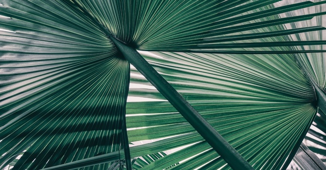 Unlock Lasting Weight Loss: The Benefits of Compounded Tirzepatide